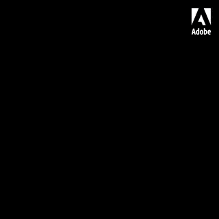 Adobe 11.11 CH