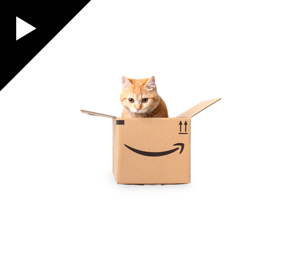 AMAZON: FACE OF AMAZON PETS \ 2020 \ CREATIVE DIRECTION