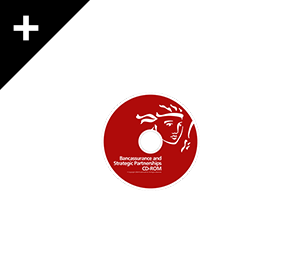 PRUDENTIAL CDROM \ 2004 \ DESIGN + ANIM