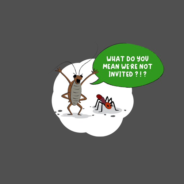 3M SCOTCH-BRITE \ 2015 \ CREATIVE DIRECTION