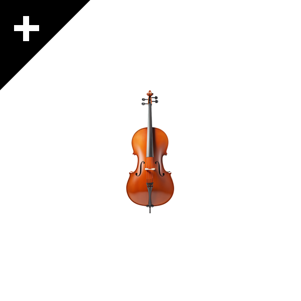 SINGAPORE SYMPHONY ORCHESTRA \ 2004 \ UX + DESIGN